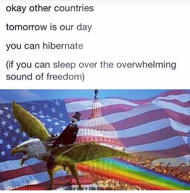 *eagle screeches and gunshots in the distance* - meme