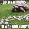 Turtle war