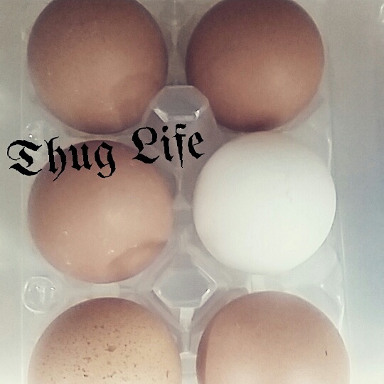Egg life - meme