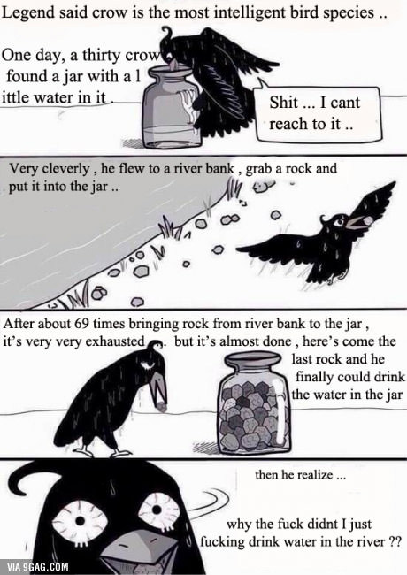 that crow is really stupid - meme