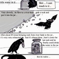 that crow is really stupid