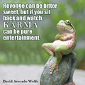 Granted, revenge is fun but, karma is fun to watch without getting your hands dirty