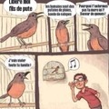 le chant des oiseaux