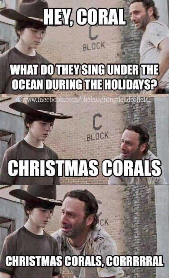 Christmas corals - meme
