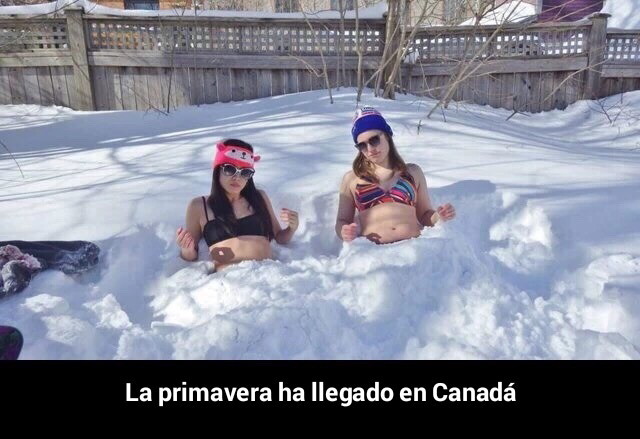 Primavera canadiense - meme