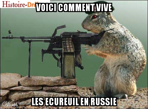 Ecureuil Russe - meme