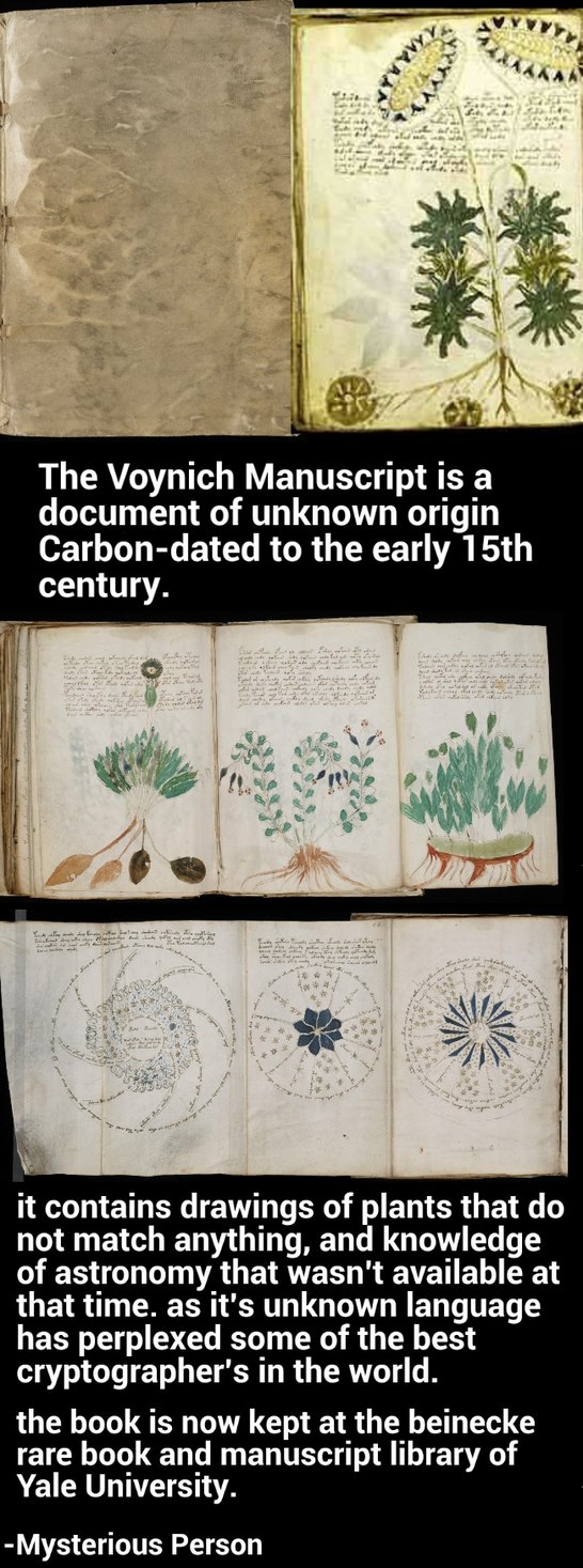 The Voynich Manuscript - meme