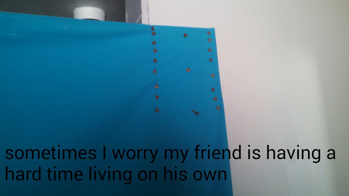 That is his shower curtain. - meme