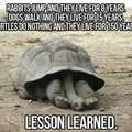 Lesson learnt
