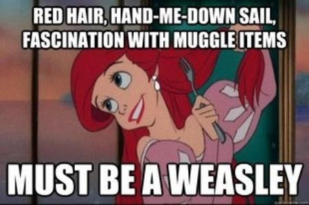 Weasley - meme