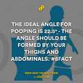 pooping ideal angle