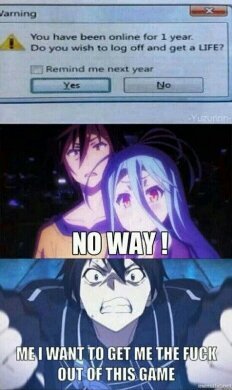 No Game,No Life. ALSO what are thoughts  on SAO II - meme
