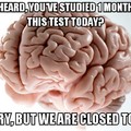 Scumbag brain
