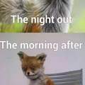 The night out Vs The morning after