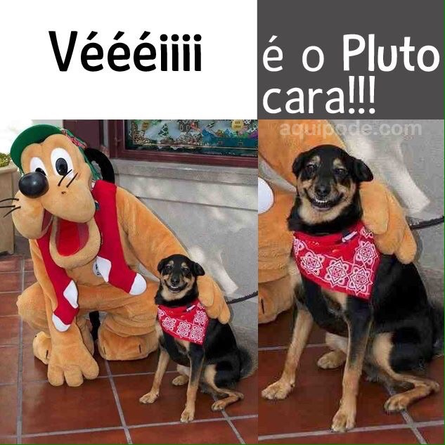 Plutooo - meme