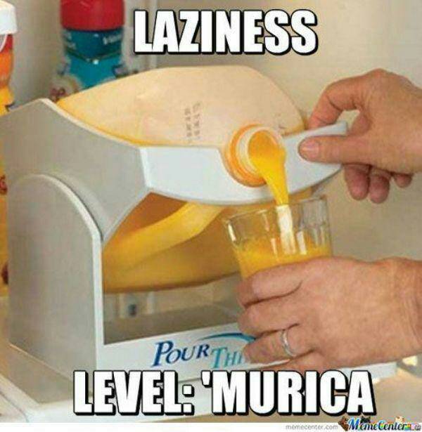 Laziness you are doing it right - meme