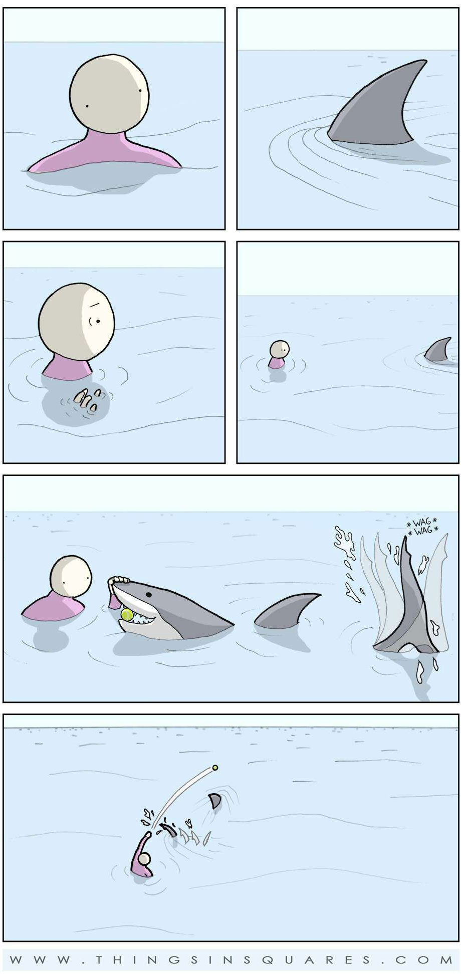 parfois le requin veut juste jouer!!! Ahahaha - meme