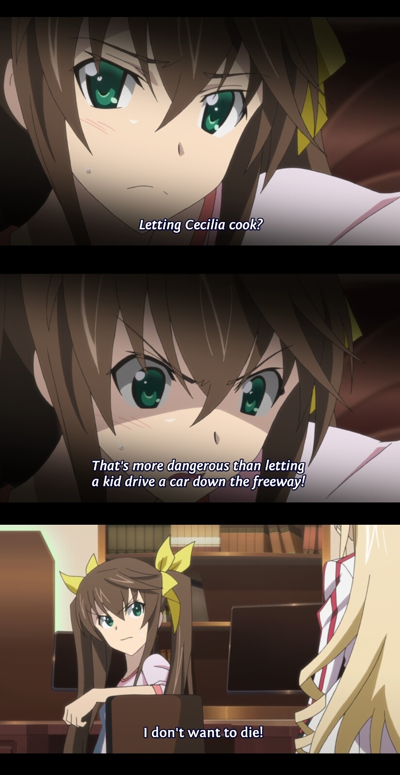 Infinite Stratos 2 - don't leave her alone with food - meme