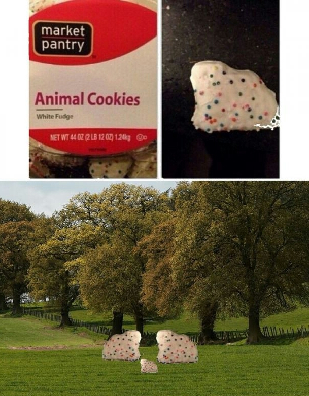 Animal shaped cookies - meme