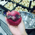 Angry onion