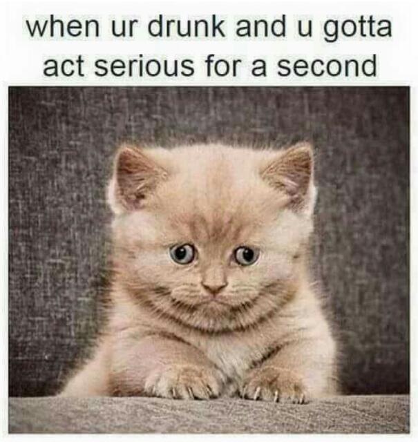 give me more beer meme by phantomaniac ) memedroid 55f940249b380 give me more beer meme by phantomaniac ) memedroid