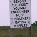 i want some waffles