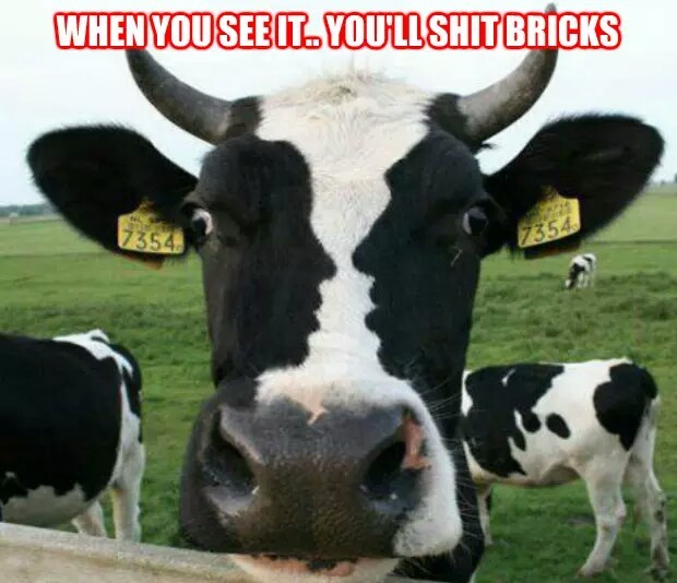 The spots on the face - meme