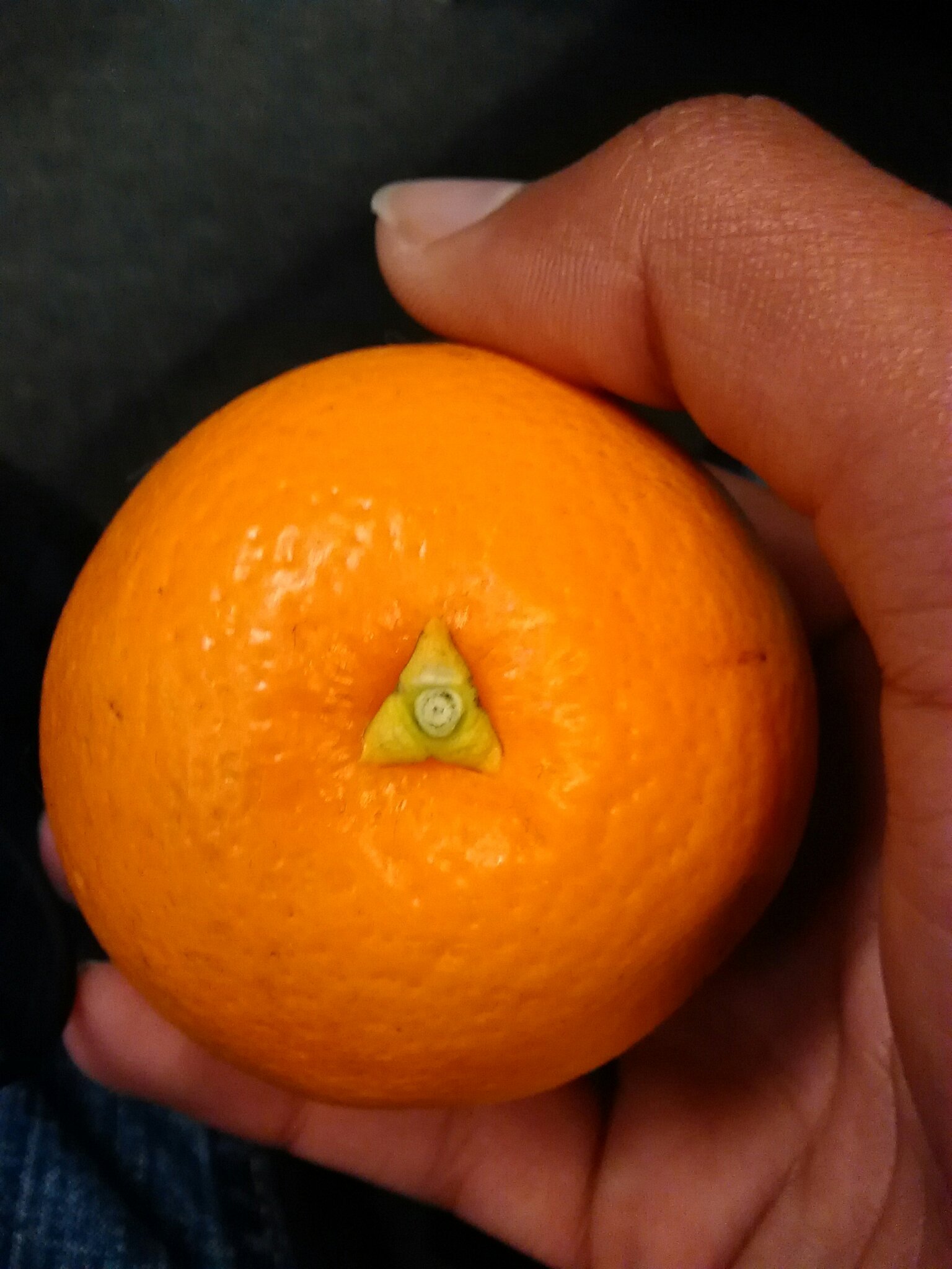 Legend of Orange(orange triforce) - meme