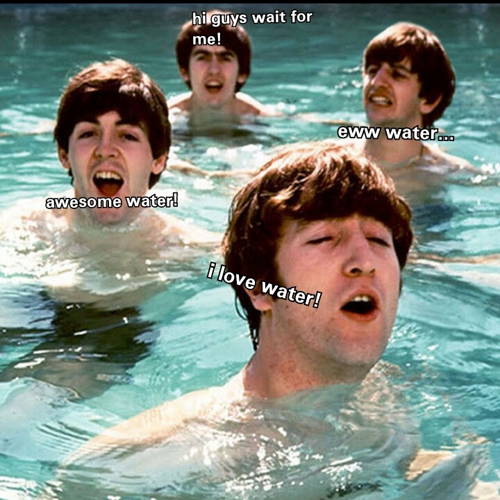 Beatles in the water - meme