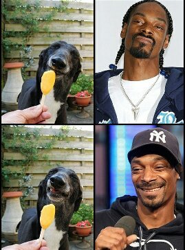 Snoopdogeee - meme