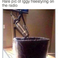 Iggy is trash
