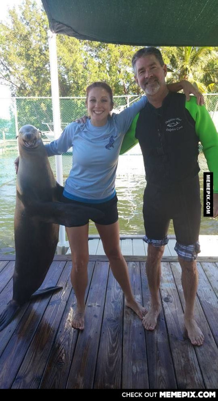 Foca feliz :D - meme