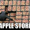 Deme una manzana 6+