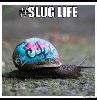 The slug life choose me - meme