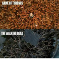 TWD. ....... Game of thrones