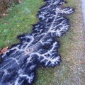 The burn pattern after electrical line falls
