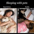 Sleeping with the pets
