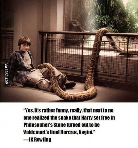 a small Harry Potter fact - meme