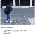 You little pigeon