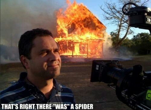 La cause de l'incendie une araignée - meme
