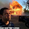La cause de l'incendie une araignée