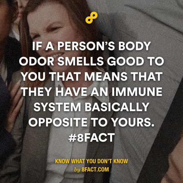 odor smells good - meme