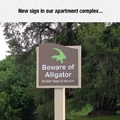 Alligator sign beware