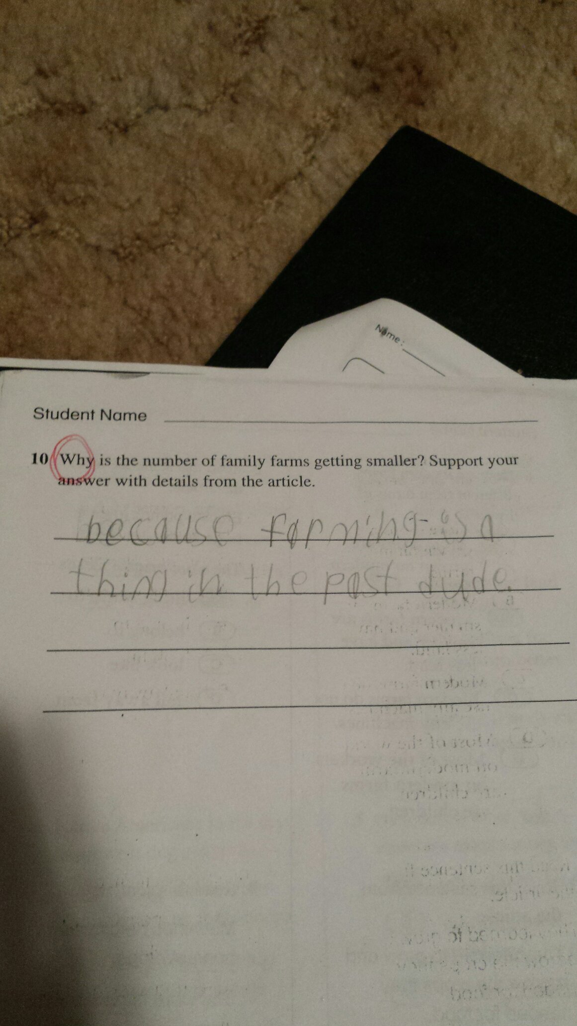 My little brother's homework lolol - meme