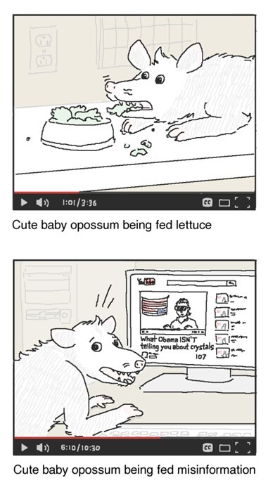 Cute baby opossum - meme