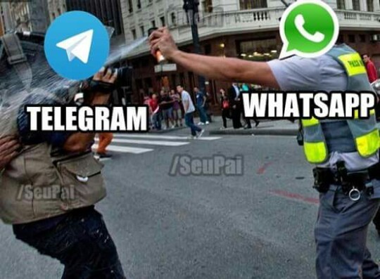 Telegram de cu é rola - meme