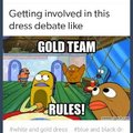Gold team rules
