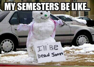 My semester.. - meme