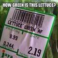 How green is it??