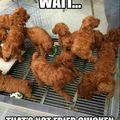 who wants a piece of fryed chi..........................oh so your telling me thats not chicken